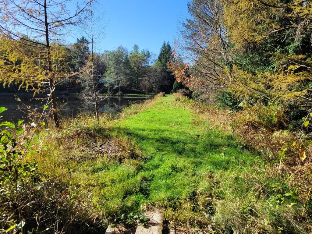 BEL ETANG AVEC CHALET
