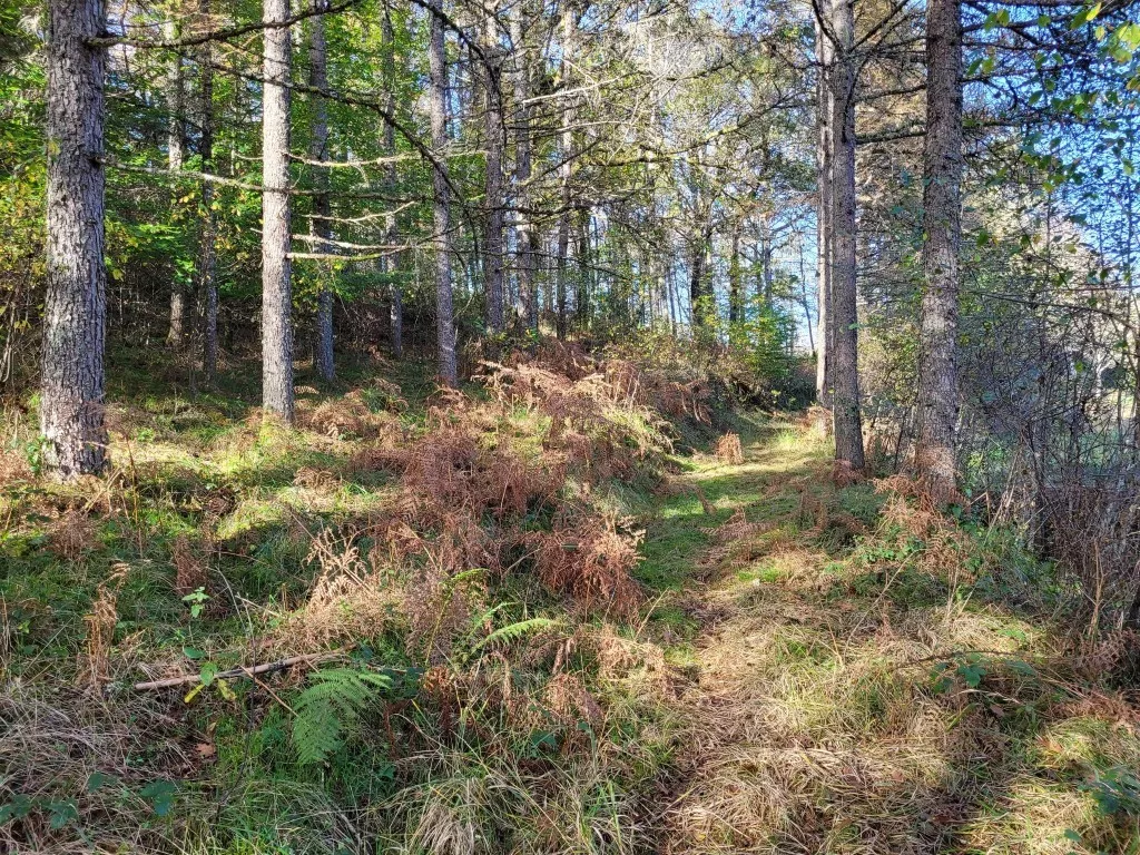 BEL ETANG AVEC CHALET