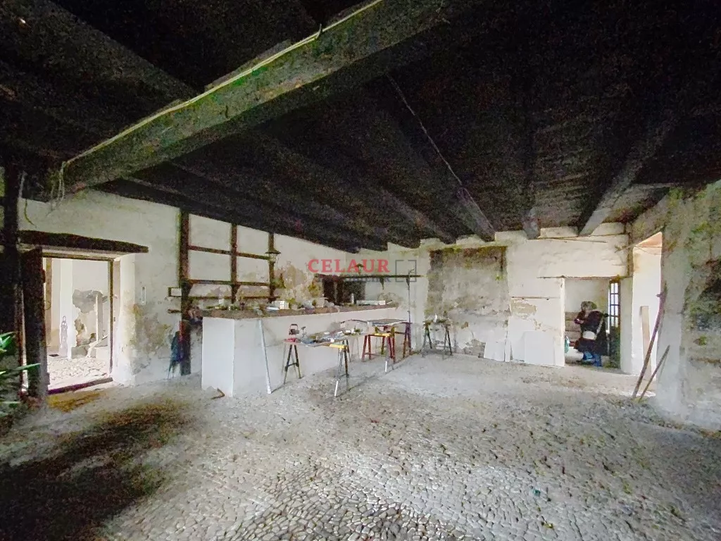 Propriété d'exception