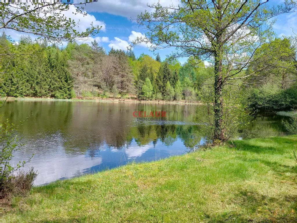 BEL ETANG AVEC CHALET