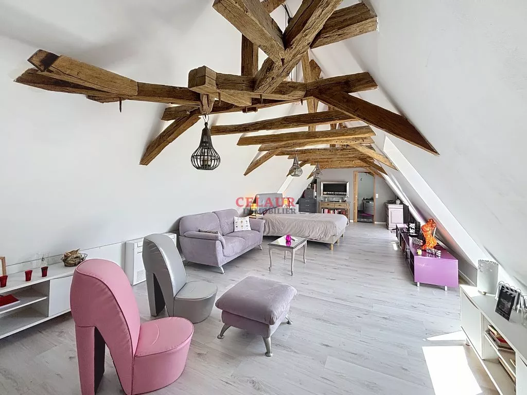 DOMAINE DE 10 HA : MAISON, GRANGE AMENAGEE, VUE, PISCINE