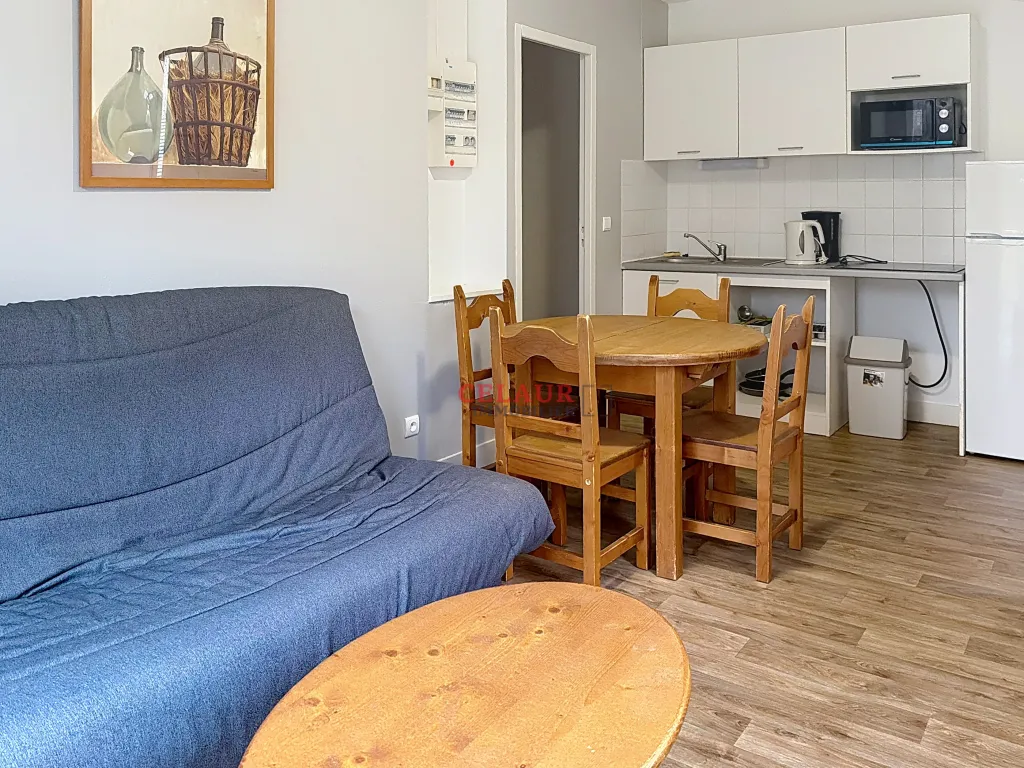 Chalet T3 en bois Id&eacute;al Investisseurs