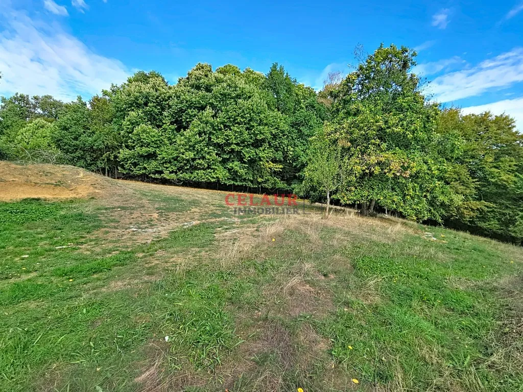 AGREABLE MAISON EN PIERRE ET SA D&Eacute;PENDANCE